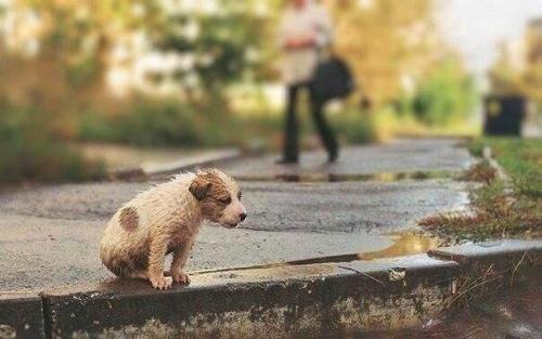 Я знаю чего я хочу в этом мире вещей. 30 невероятно красивых и мудрых цитат, которые стоит запомнить
