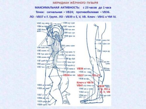 Канал печени и желчного пузыря китайская медицина. Особенности меридиана желчного пузыря