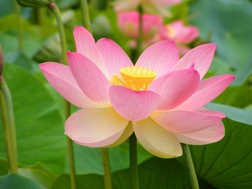 Я знаю чего я хочу в этом мире вещей. 30 невероятно красивых и мудрых цитат, которые стоит запомнить