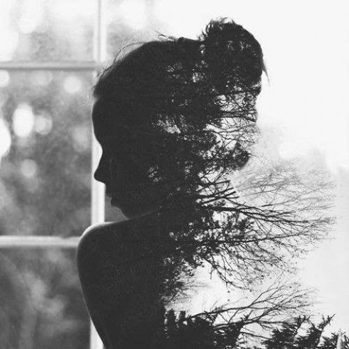 Никогда никому ничего не доказывай.