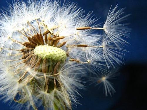 Я знаю чего я хочу в этом мире вещей. 30 невероятно красивых и мудрых цитат, которые стоит запомнить