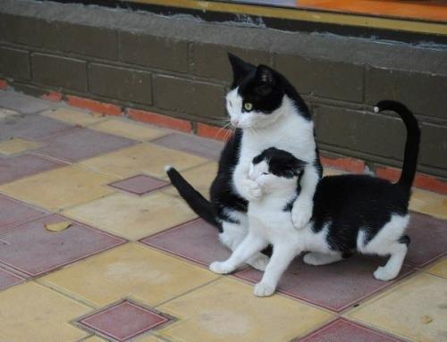 Никогда никому ничего не рассказывай.