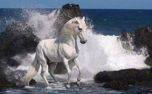 Я знаю чего я хочу в этом мире вещей. 30 невероятно красивых и мудрых цитат, которые стоит запомнить