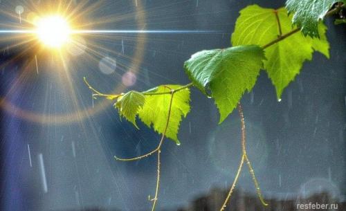 Счастье внутри нас цитаты. 40 невероятно красивых и мудрых цитат про счастье и любовь