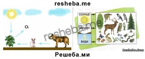 Как называется мир в котором мы живем. § 1. Мир, в котором мы живем