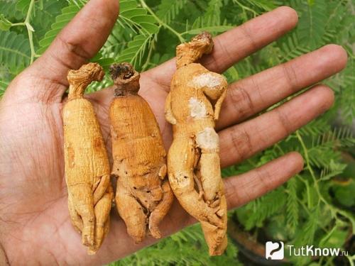 Как сделать амулет — мастер-класс