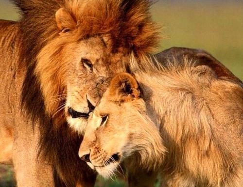 Я знаю чего я хочу в этом мире вещей. 30 невероятно красивых и мудрых цитат, которые стоит запомнить