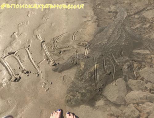 Зависимые отношения: роли участников и основные признаки.