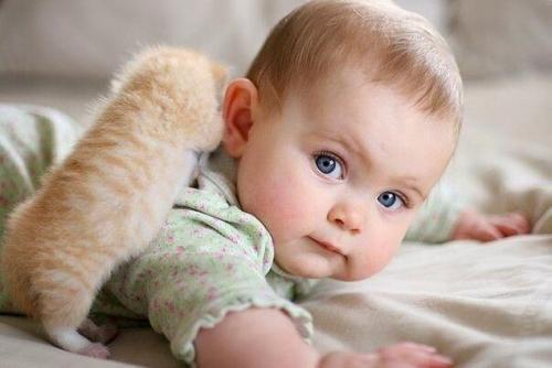 Я знаю чего я хочу в этом мире вещей. 30 невероятно красивых и мудрых цитат, которые стоит запомнить