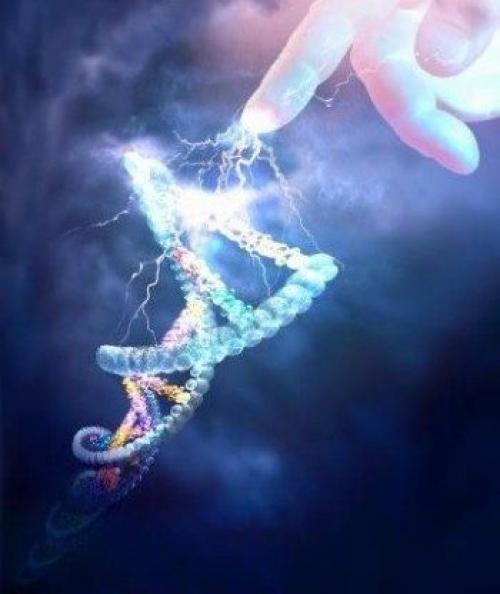 Тета-хилинг, как исцелить себя. Тета хилинг – эффективная медитация для раннего утра