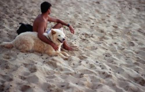 Принять мужчину таким, какой он есть может только земля. Как принять мужчину: что такое принятие