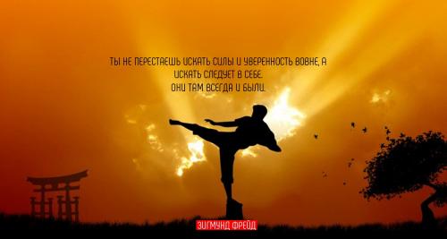 Сильные духом люди афоризмы. Цитаты про силу