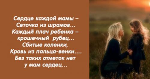 Сердце каждой мамы. «Сердце каждой мамы – сеточка из шрамов…» — стихотворение, которое покорило интернет!