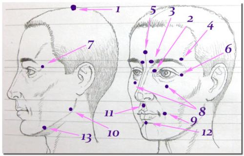 Активные точки на голове человека. Биологически активные точки на голове