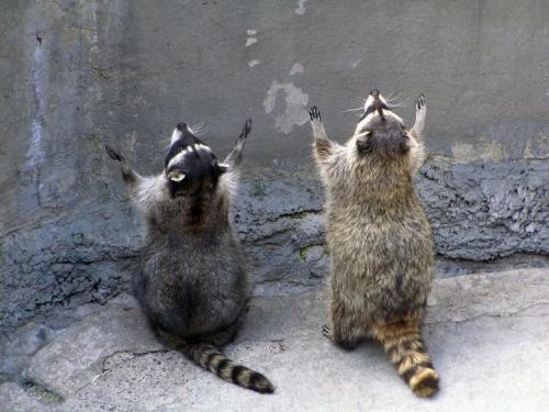 Как стать легким человеком. Как стать великим человеком?