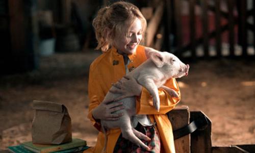 Философские вопросы для детей. 10 философских вопросов, которые должны задавать дети