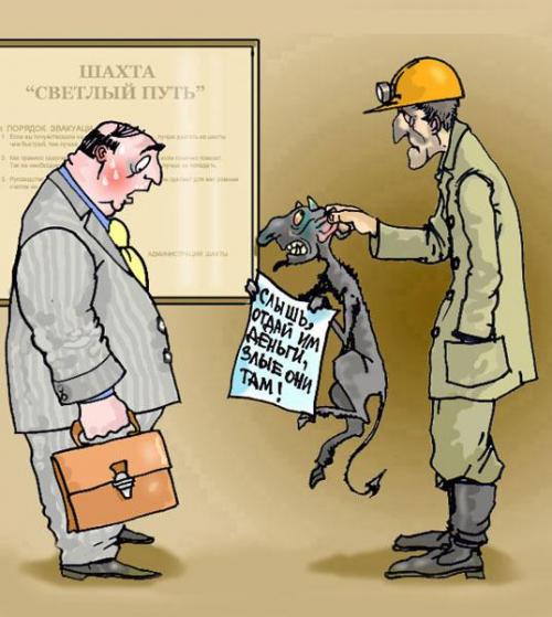 Закономерности жизни это.