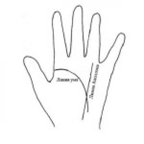 Линии на руке. Главные линии на руке: линия сердца