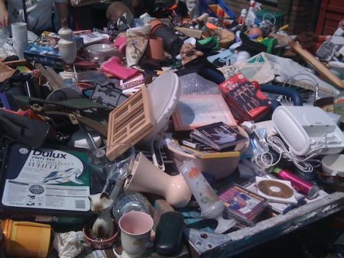 Закономерности жизни это.