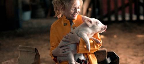 Философские вопросы для детей. 10 философских вопросов, которые должны задавать дети