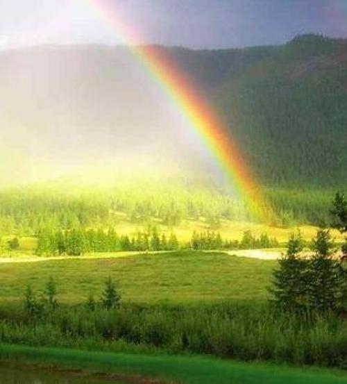 Общение с природой цитаты. Цитаты русских писателей о природе