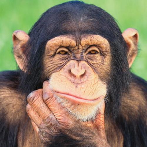 35 закономерностей жизни.