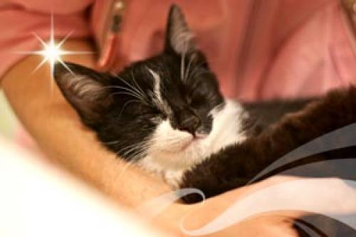 Маленькие радости для себя любимой. Маленькие радости жизни.