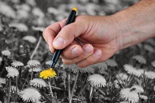 Есть люди-закаты и люди-рассветы Одни с негативом другие с приветом.