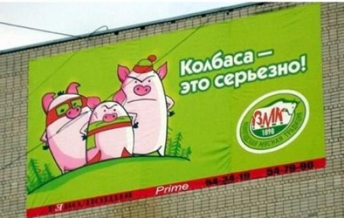 Закономерности жизни это.