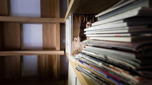 Как себя мотивировать Лебедев. «Как мотивировать себя? — Да никак, если хочешь — оставайся в ж…е!»