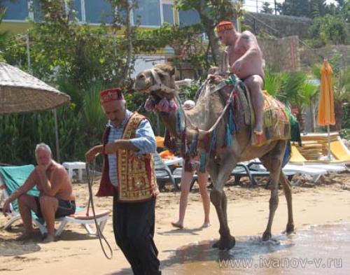 Какие слова нужно знать туристу в Турции. 15 фраз на турецком языке для отдыхающих в Турции