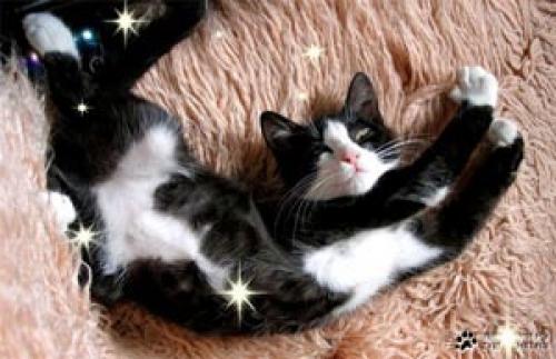 Маленькие радости для себя любимой. Маленькие радости жизни.