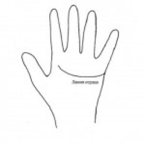 Линии на руке. Главные линии на руке: линия сердца