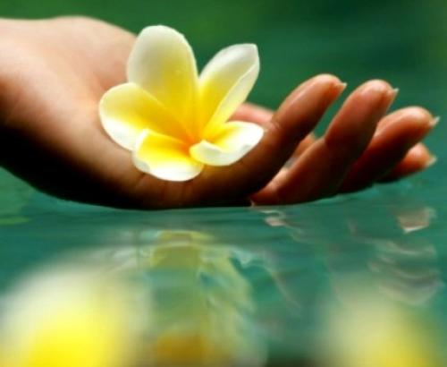 Брось меня не порть себе жизнь. Прекратите сами портить себе жизнь.