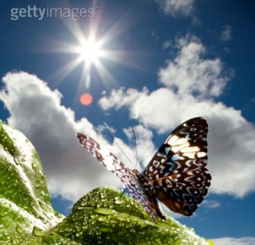 Будут обижать не обижайся откуда. Обида. Цитаты про обиду