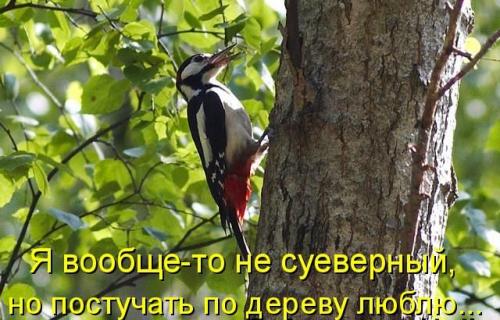 Закономерности жизни это.