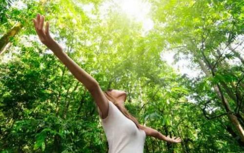 Общение с природой это. Почему важно общение с природой?