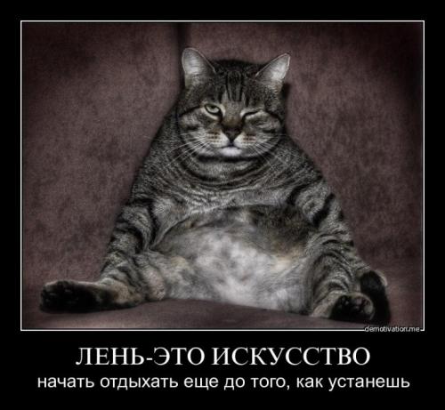 Закономерности жизни это.