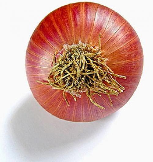 Эмоциональное состояние человека осенью. О сезонных перепадах эмоциональных состояний 02