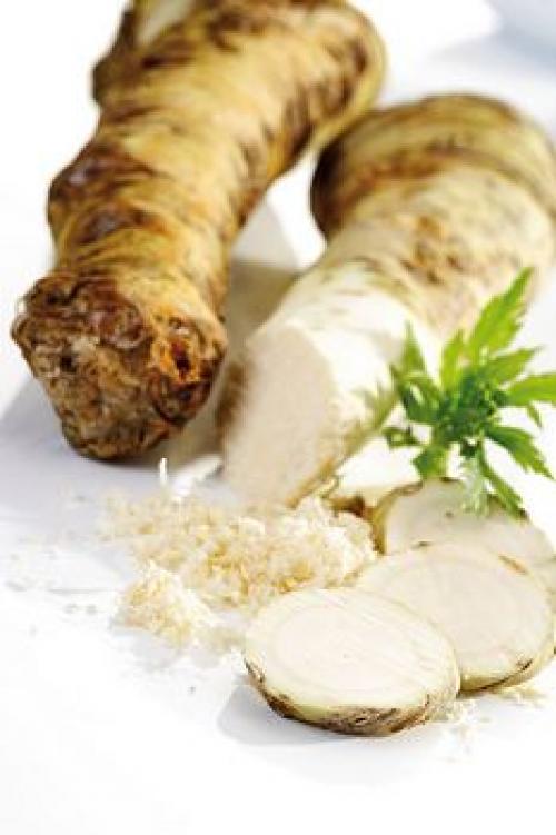 Эмоциональное состояние человека осенью. О сезонных перепадах эмоциональных состояний 01