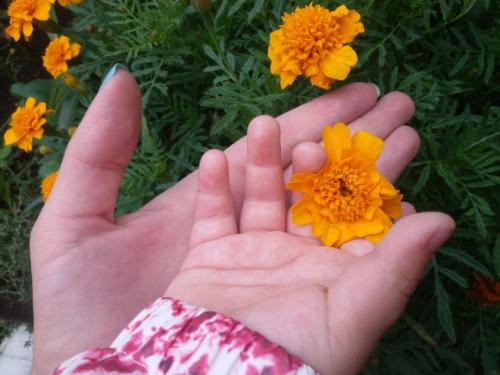 Как тяжело быть мамой двух детей. Один ребенок vs двое детей: почему быть мамой двоих… проще, чем мамой одного?