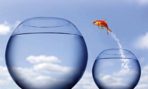 Что значит быть смелым. Смелый человек. Смелость и самообладание. Как стать смелым?