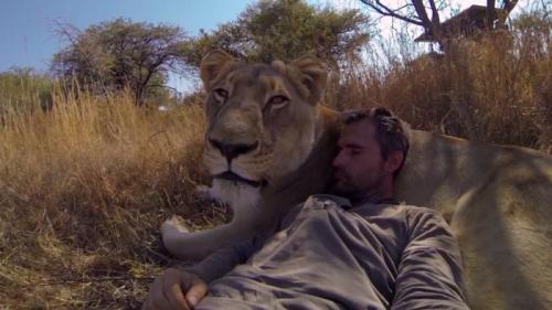 Что значит быть смелым. Смелый человек. Смелость и самообладание. Как стать смелым?