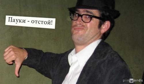 Почему человек боится пауков. Кто боится пауков?