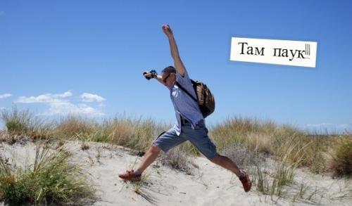 Почему человек боится пауков. Кто боится пауков?