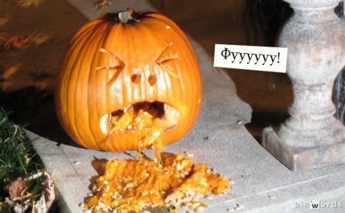 Почему человек боится пауков. Кто боится пауков?