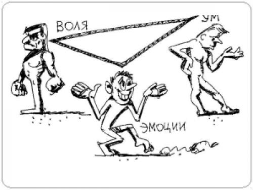 Какие бывают у человека черты характера. Характер – черты, качества характера человека