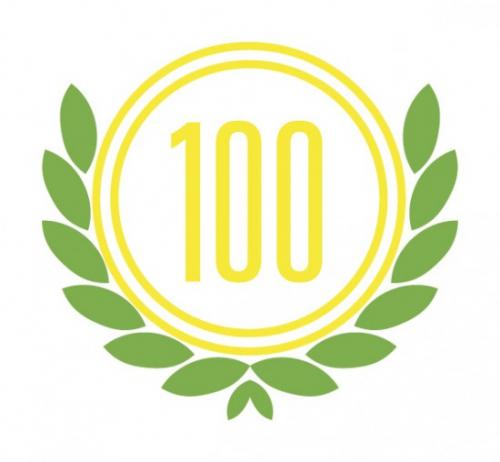 Какие бывают мечты у людей примеры. 100 целей в жизни. Примерный список 100 жизненных целей человека.