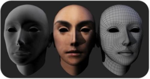 Какие бывают у человека черты характера. Характер – черты, качества характера человека