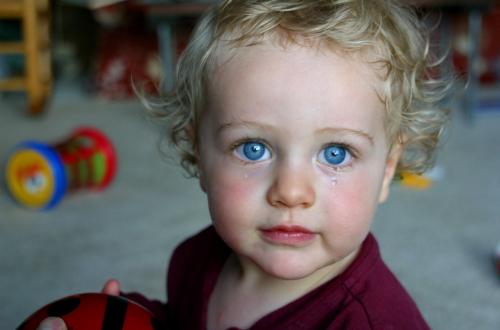 Ребенок плачет не хочет в садик. Что делать, если ребенок плачет в садике